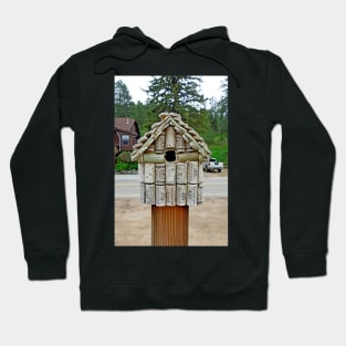 Glen Haven Bird Houses Study 7 Hoodie